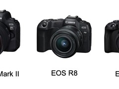 佳能可换镜数码相机连续21年蝉联全球市场占有率第一