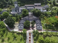 广药集团：以“绿”为媒为乡村造血促振兴