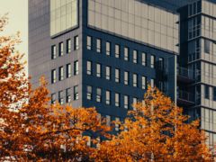 IBM中国系统中心裁撤：蓝色巨人的战略调整与市场变迁