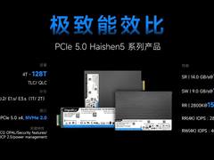 从低调前行到行业前四：大普微的企业级SSD市场成长之路