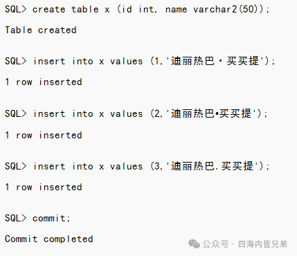 数据库中少数民族名字的存储