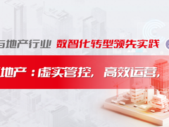 领先实践之—上海地产：虚实管控，高效运营，战略增值