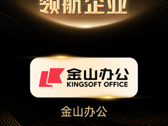 2024人工智能年度评选揭晓，WPS AI获评2024人工智能年度杰出产品