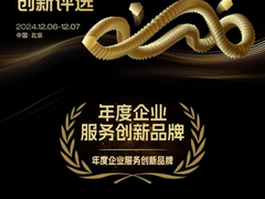 金山办公WPS AI为Tob领域注入新活力 获评「年度企业服务创新品牌」