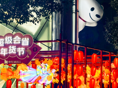 国补3C登上年轻人年货畅销榜，快来京东MALL“打包”年味