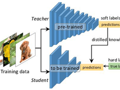 大白话说清楚DeepSeek的蒸馏技术到底是什么？