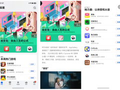 以代码为锚，女性开发者在鸿蒙生态中定义自由新坐标