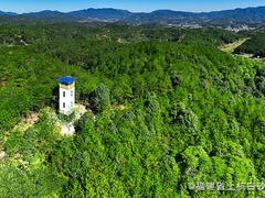 “惠聚绿色势能，共绘生态蓝图”，惠普携手合作伙伴，共筑可持续未来