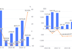 完美世界2024年及2025Q1财报解读：业绩触底反弹，聚焦成效显现