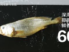 海尔磁控全空间保鲜冰箱：冻鱼60天，海里一样鲜