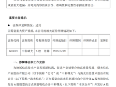 从“单打独斗”到“合力突围”，看中科曙光与海光信息战略重组的背后