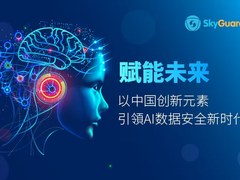 天空卫士：不比大模型性能，而比谁更懂行业痛点