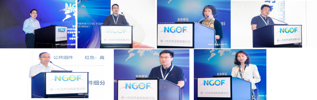 2025年TC618/NGOF“光电协同背景下高速大容量光传输技术发展研讨会”在京圆满召开