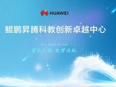 聚焦大模型训练效率提升 北大依托昇腾突破细粒度混合并行技术