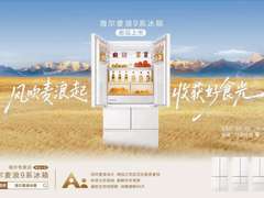 海尔冰箱H1：一个麦浪系列抵一个企业