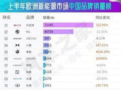 重大突破！比亚迪引领欧洲新能源市场