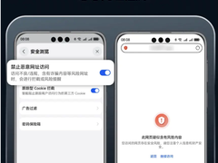 2025年网络安全博览会：华为浏览器隐私防护硬核守护用户数据安全