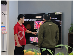 第四代液晶电视TCL极景Q10L电视京东MALL独家开售，5799元起享旗舰音画