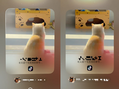 隔空抓取、一碰即传、小艺识图搜索：鸿蒙版抖音全新上线30多项功能，为华为Mate双旗舰带来创新体验