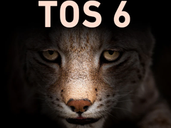 铁威马TRAID扩容无门槛？四大存储系统底层阵列深度拆解