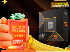 拒绝内存焦虑！AMD 锐龙5 9600X搭配单通道DDR5战未来