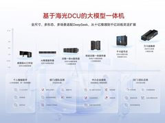国产大模型Day0适配潮：海光DCU领跑软硬协同新赛道