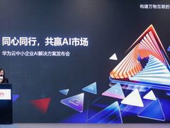 华为云发布FlexNPU，打造弹性伸缩的“算力金箍棒”