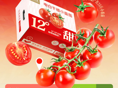 包圆80亩，400颗中出一颗！京东生鲜电白千禧12°小番茄来了！