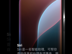 国行苹果智能Beta短暂上线后撤回