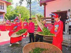 卡萨帝茶叶柜亮相第4届武夷星大红袍文化节