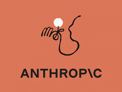 Anthropic 最快下周完成逾 300 亿美元融资，有望推动估值反超 OpenAI