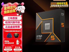 性能+成本的黄金搭档！锐龙5 9600X配单通道DDR5内存