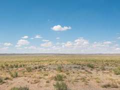 金山文档植树节发起“签名种梭”计划 助力荒漠化防治