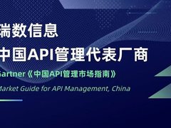 瑞数信息入选Gartner《中国API管理市场指南》