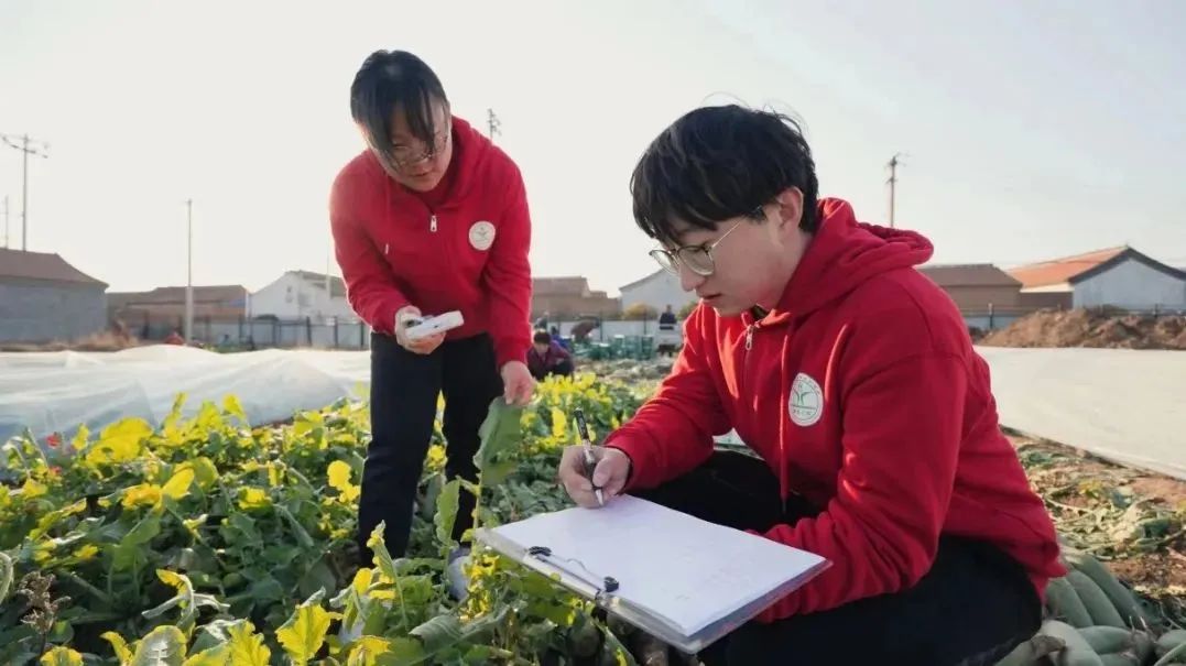 操作示意图